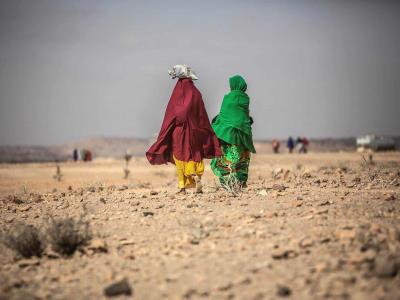 45 países menos desarrollados piden más financiación climática