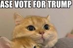 ‘Comedores de gatos o pájaros’: el bulo de una campaña trumpista contra migrantes haitianos