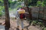Salud Pública reporta un caso de dengue luego de tres semanas en las que no hubo positivos