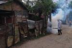 Casos confirmados de dengue en el país ascienden a 1,070 desde el inicio de 2024