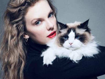 Conoce a los hijos gatunos de Taylor Swift