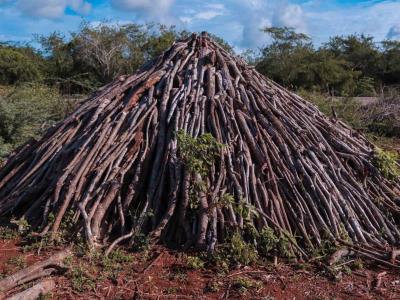 Detectan violación permiso ambiental para aeropuerto de Pedernales