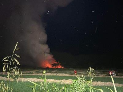 Se produce un incendio forestal en La Canela, Santiago