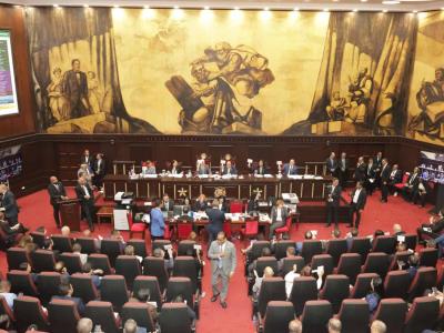 Asamblea Nacional proclamará el domingo la nueva Constitución