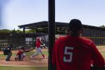 Albert Pujols tiene una sola meta con los Leones del Escogido: ganar