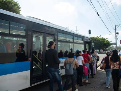 Intrant inaugurará 13 corredores de autobuses en 2025