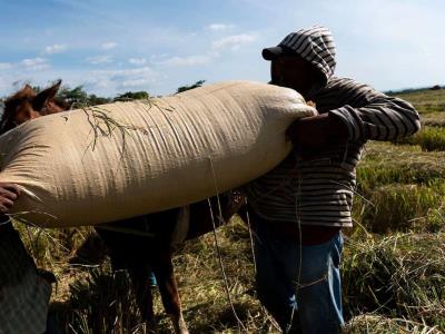 Legisladores del PRM apoyan permisos laborales a haitianos ilegales