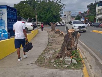 Denuncian la tala de árboles realizado por tienda china en Santiago