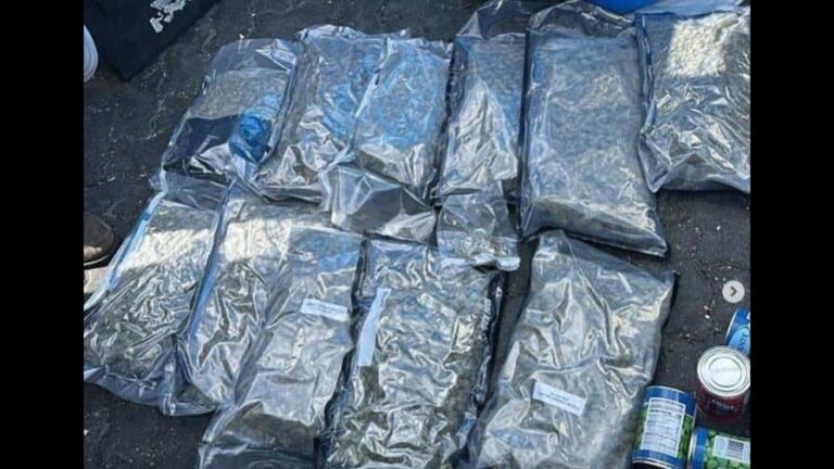 Descubren 12 paquetes de marihuana ocultos en un tanque de comida procedente de Nueva York