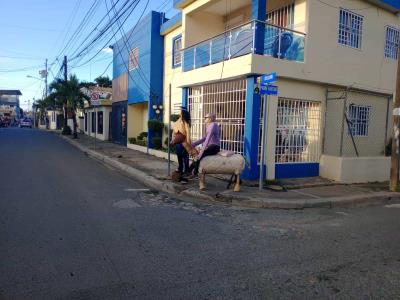 Fin de año en Cotuí: el muñeco del año viejo, a punto de desaparecer