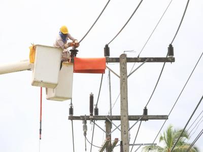 PLD presenta preocupación por pérdidas en el sector eléctrico