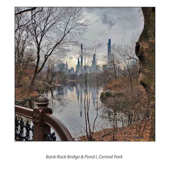 Serie sobre Central Park.