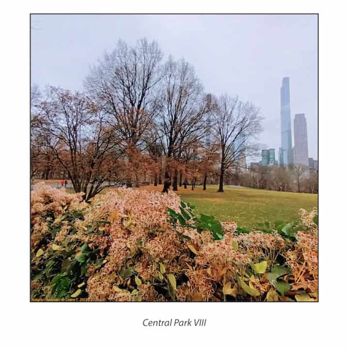 Serie sobre Central Park.