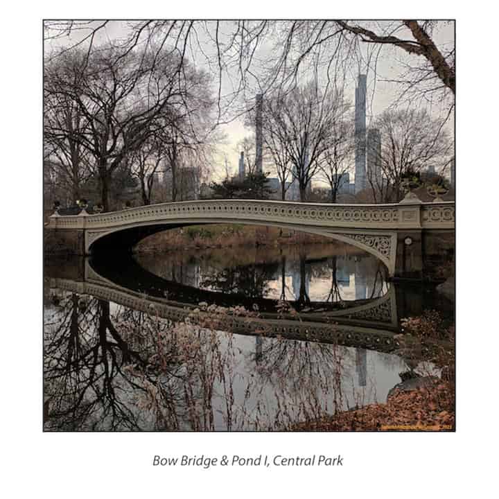 Serie sobre Central Park.