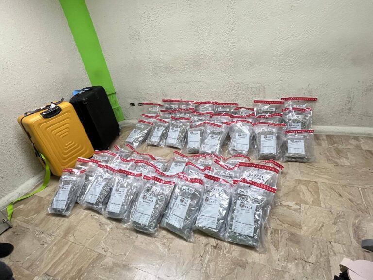 DNCD confisca 90 pacas de presunta marihuana y un paquete de crack en aeropuerto de Punta Cana