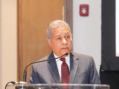 Impacto de la volatilidad cambiaria en la economía dominicana