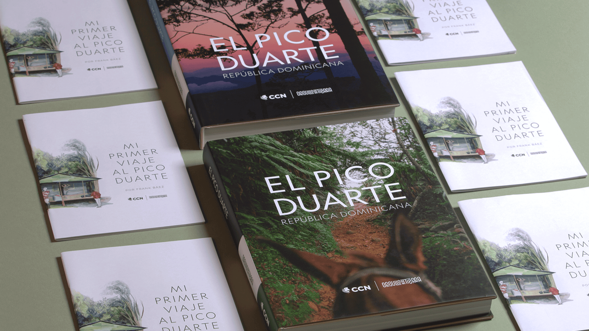 Portada del libro de CCN.