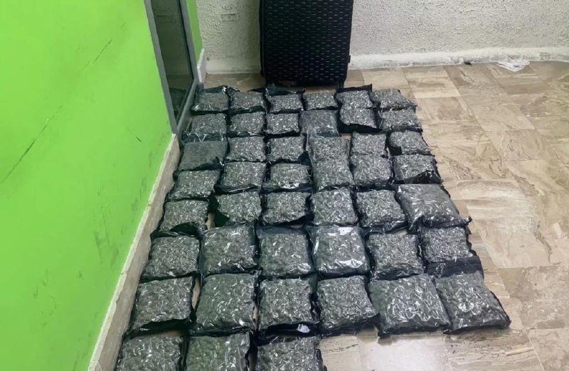 ¿Sin dueño? DNCD incauta 79 paquetes de marihuana que fueron abandonados en aeropuerto de Punta Cana