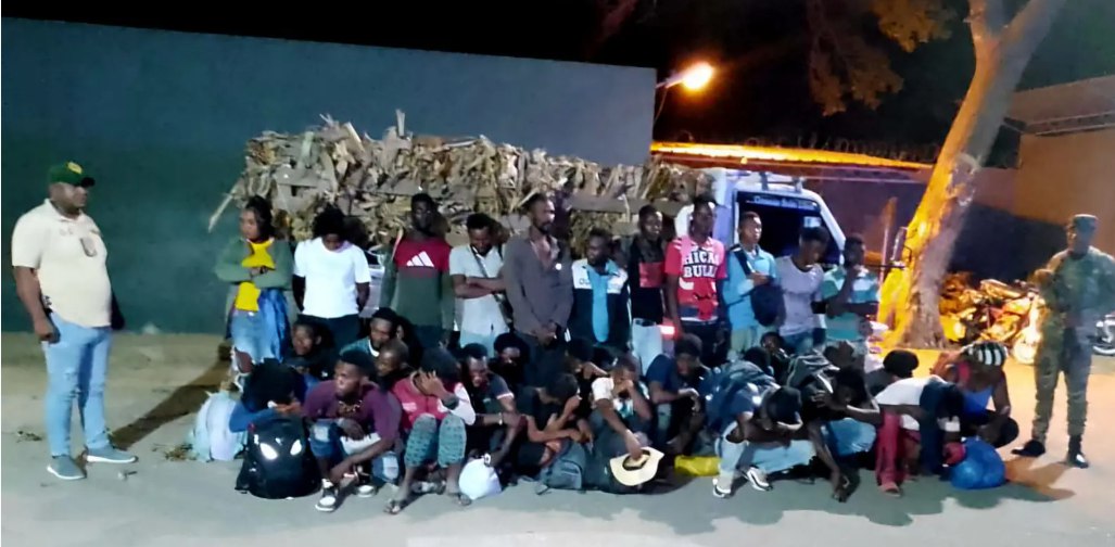 Arrestan camionero llevaba 35 haitianos indocumentados camuflados bajo hojas de plátano