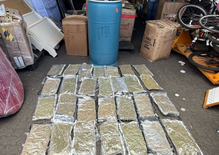 Arrestan hombre y confiscan 28 paquetes de marihuana en tanque de comida en puerto Haina Oriental