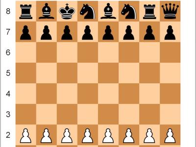 Carlsen vs. el mundo: duelo histórico para el ajedrez
