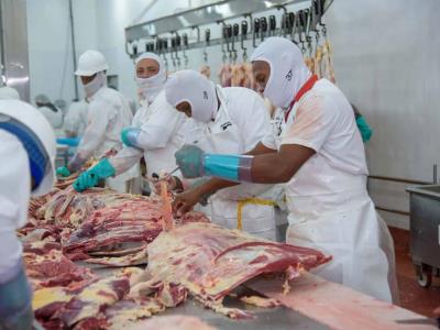 Denuncian suspensión de permisos para la importaciones de carne