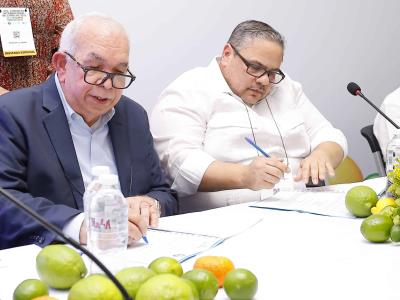 Destinarán RD$340 millones para tecnificar 10,000 tareas de limones
