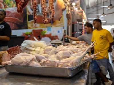 El sector avícola dominicano produce más de 750,000 pollos diarios