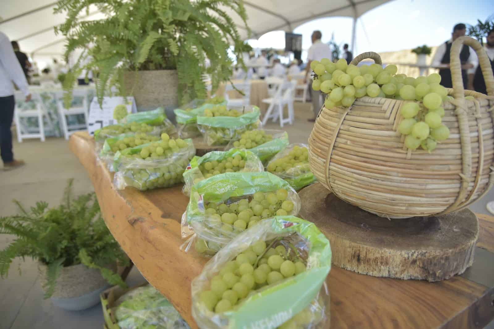 Uvas de mesa de muestra en el acto con el que formalmente se inició la exportación de uvas de mesa hacia Estados Unidos.