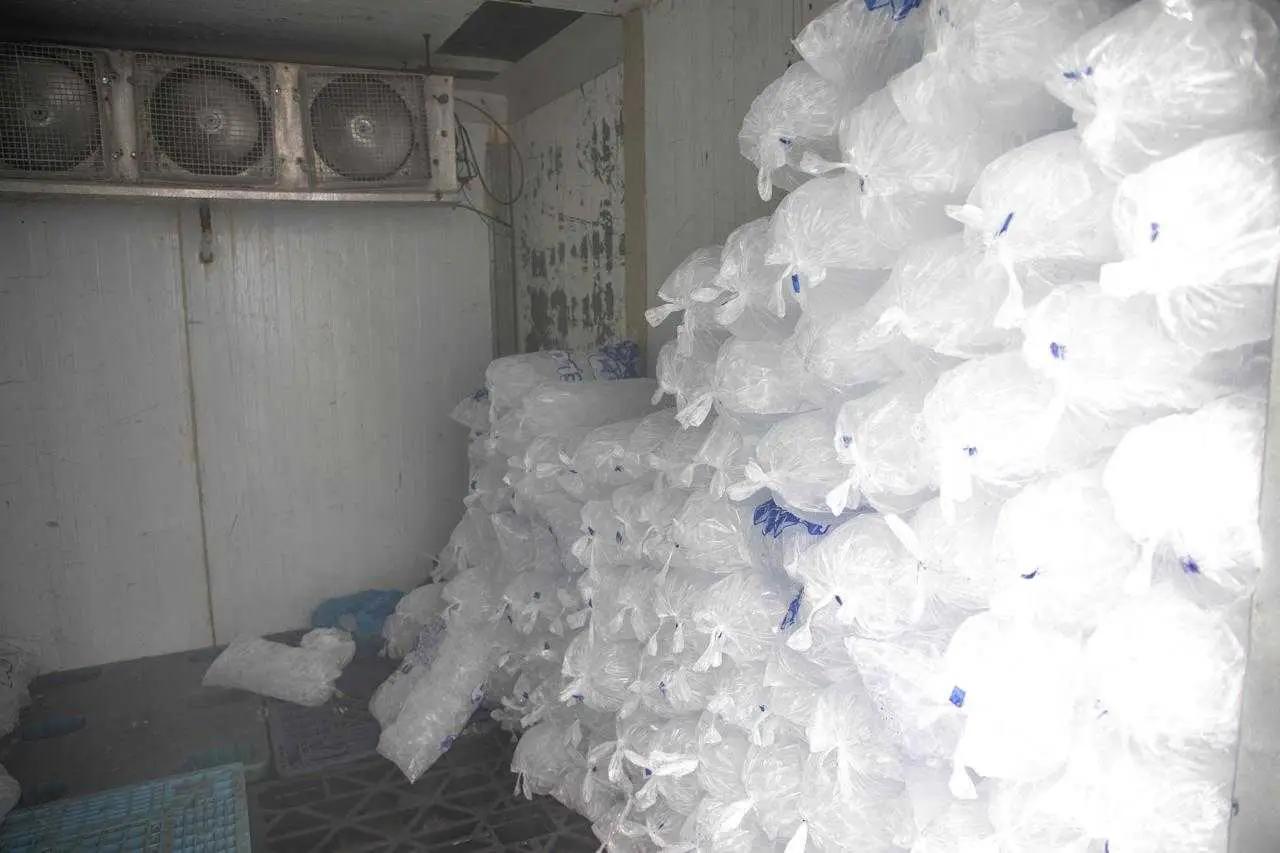 Autoridades intervienen fábrica de hielo y una finca por fraude eléctrico en Guerra