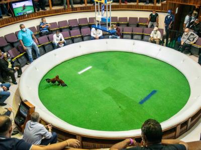 Coliseo Alberto Bonetti Burgos: honra a Edmond Elías Hermida