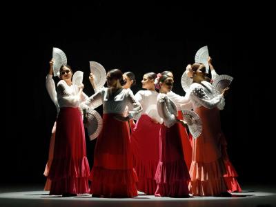 El festival “Dominicana vive el flamenco” celebrará segunda edición