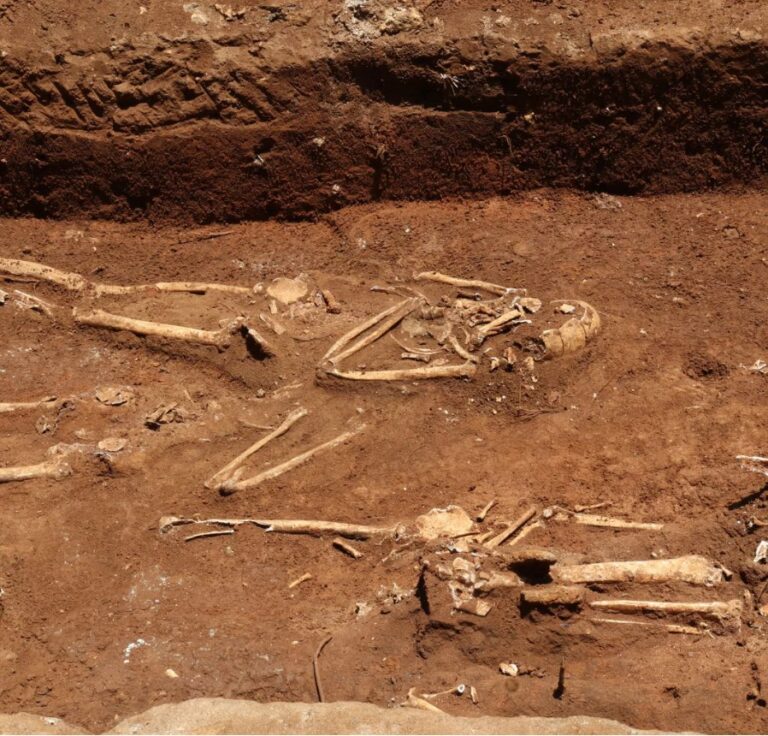 Encuentran osamentas humanas en excavaciones para remozamiento de la ciudad colonial