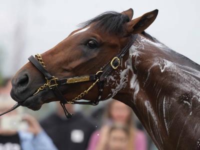 Este Derby de Kentucky podría ser ideal para corredores en lodo