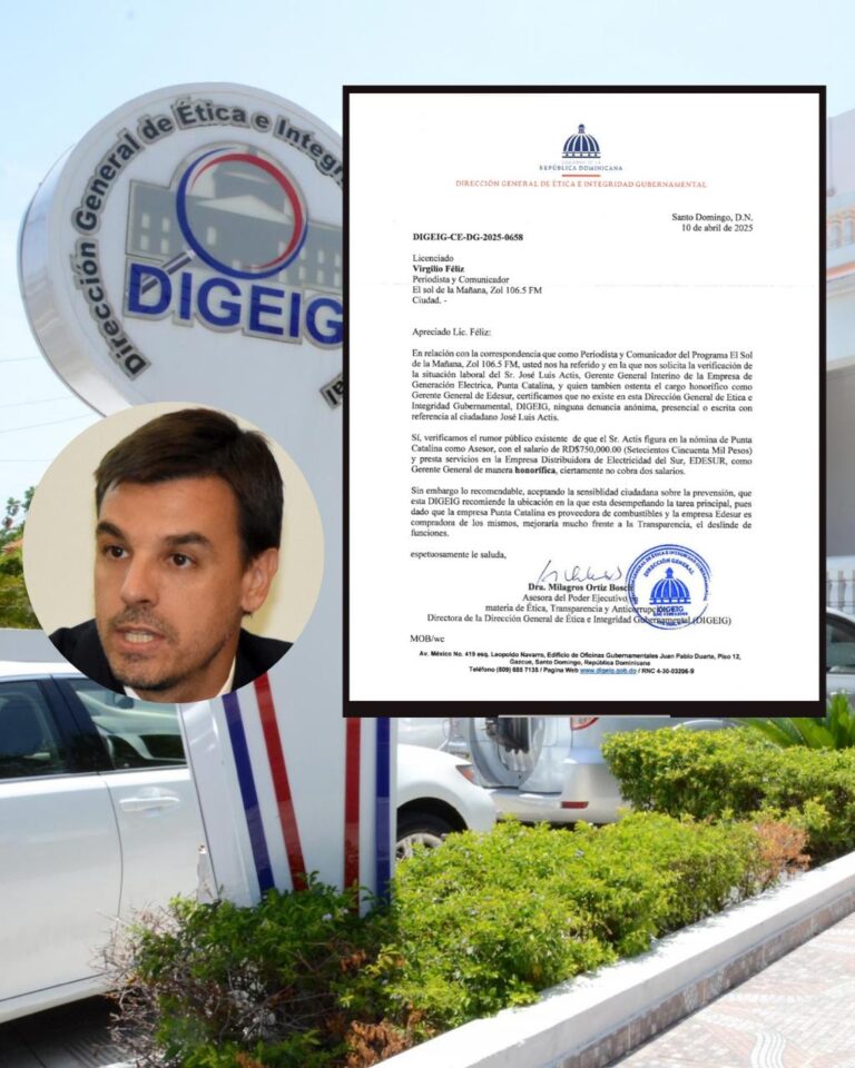 Ética gubernamental sugiere deslindar funciones de José Luis Actis entre Edesur y Punta Catalina