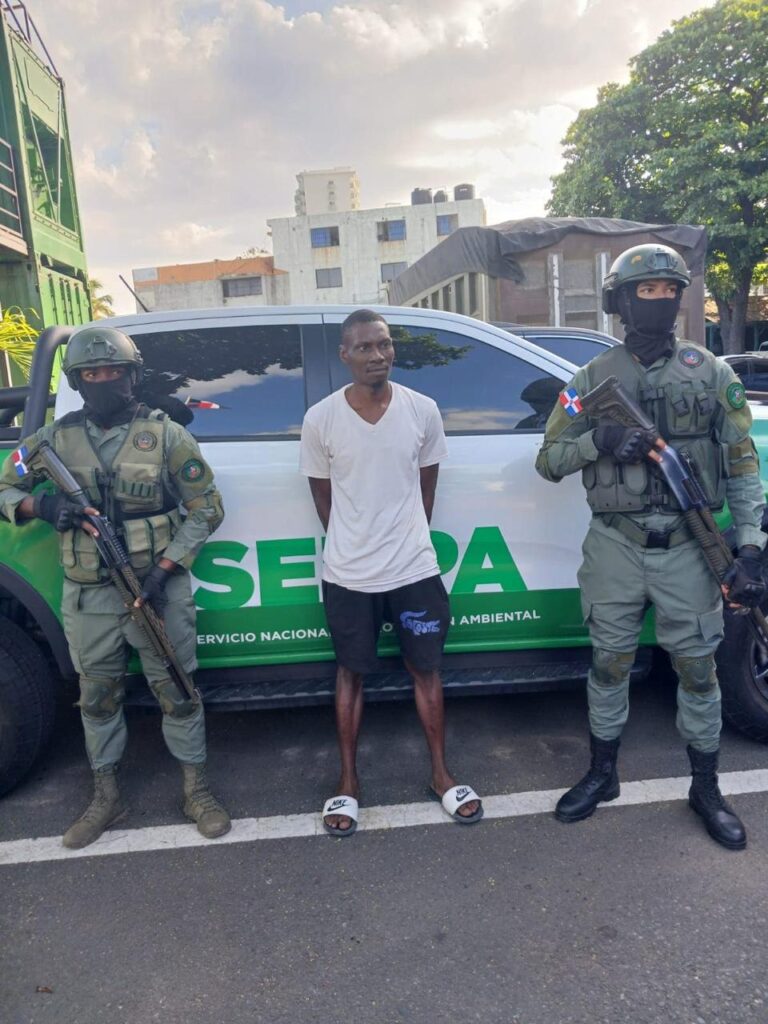 Indignación en Guayacanes: haitiano mata tiburón en veda y es arrestado