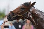 Este Derby de Kentucky podría ser ideal para corredores en lodo con un pronóstico de lluvia