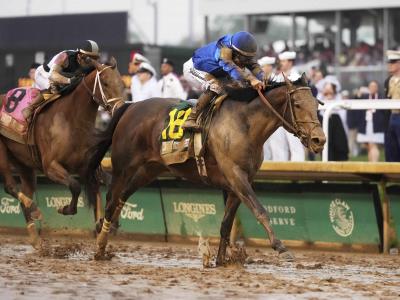 Journalism es el favorito para ganar el Preakness Stakes