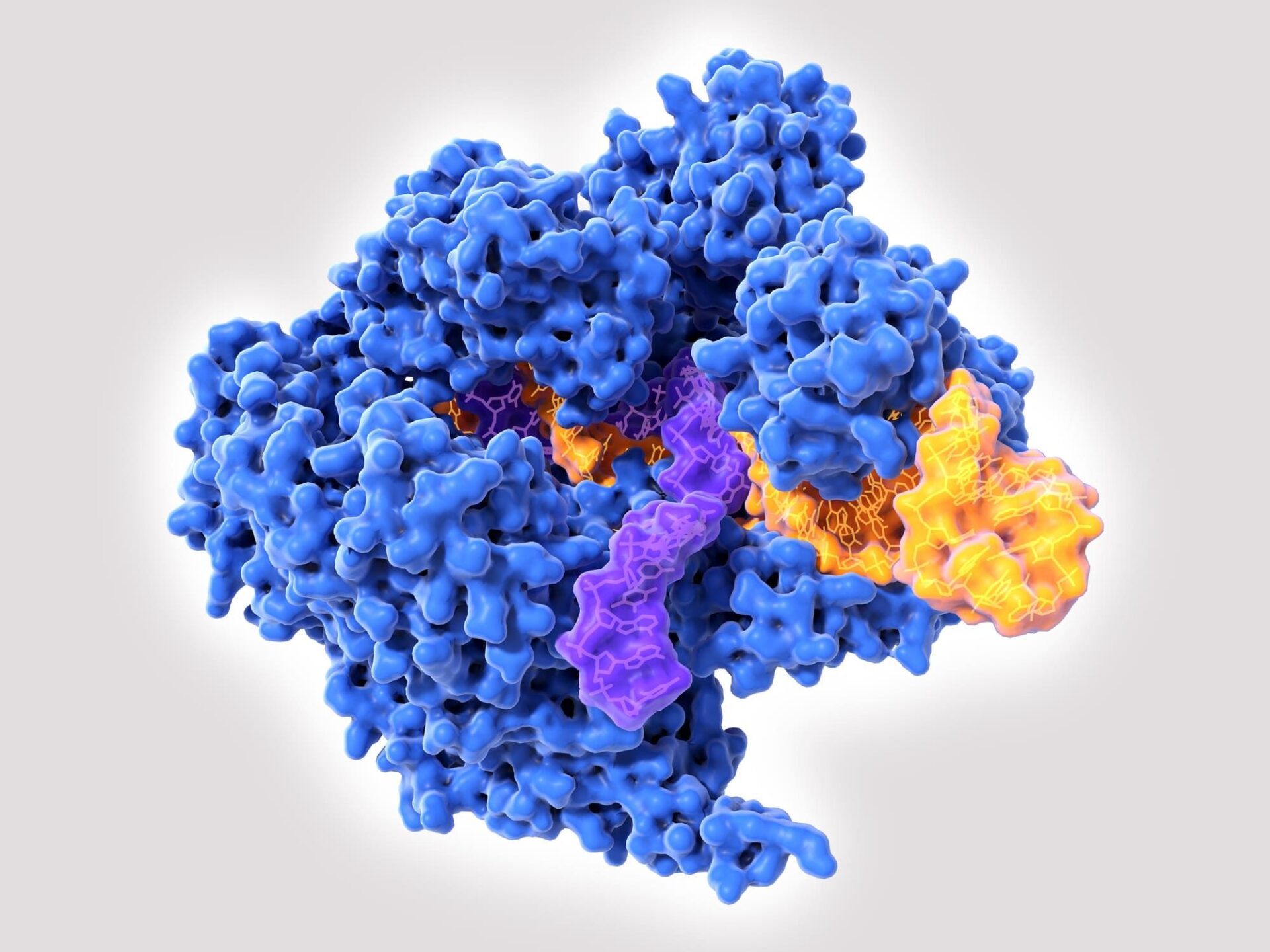 Las terapias CRISPR acaban de dar un salto sin precedentes: ya es posible insertar un gen entero