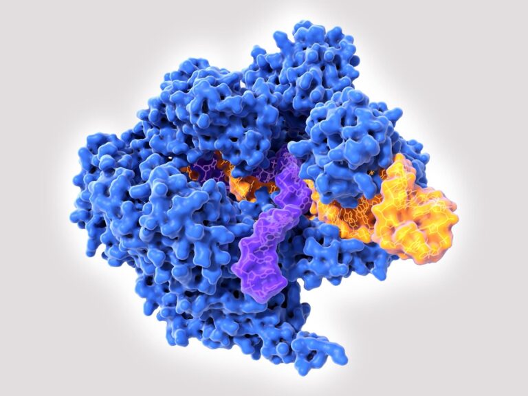 Las terapias CRISPR acaban de dar un salto sin precedentes: ya es posible insertar un gen entero