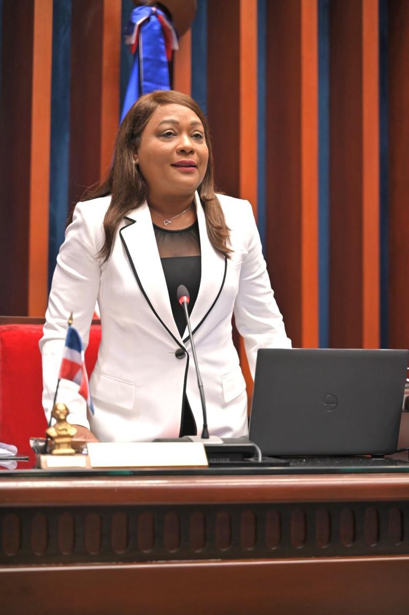 Senadora Aracelis Villanueva, del PRM, somete proyecto para impartir igualdad de género como materia obligatoria en las escuelas
