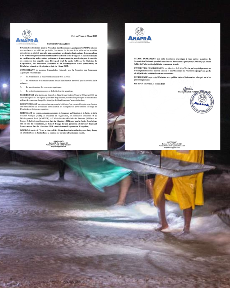 Asociación haitiana ANAPRA separa a miembros imputados por comercio ilegal de anguilas