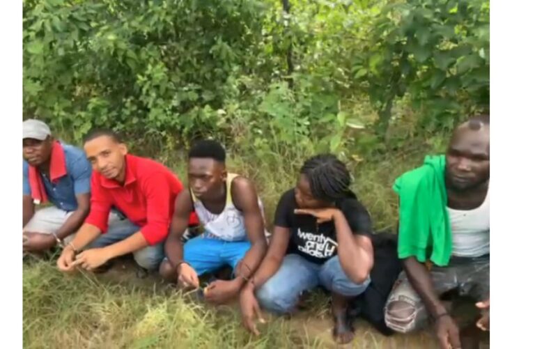 Apresan a 15 haitianos indocumentados en Dajabón