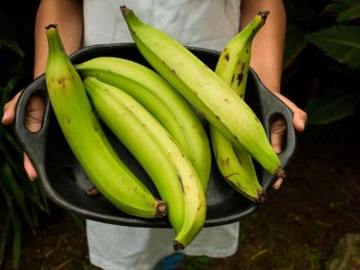 Beneficios de consumir plátano verde