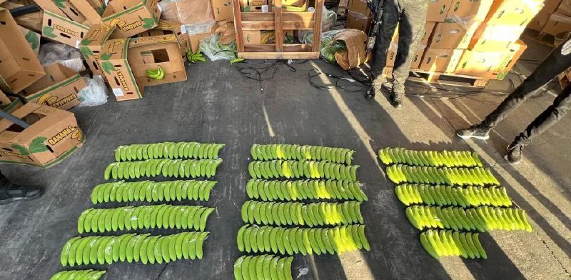 Caso Narcobanana: Incautan vehículos de lujo y dinero a red ligada a 102 kg de cocaína
