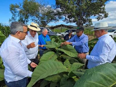 ¿Cuántas zonas tabacaleras tiene la República Dominicana