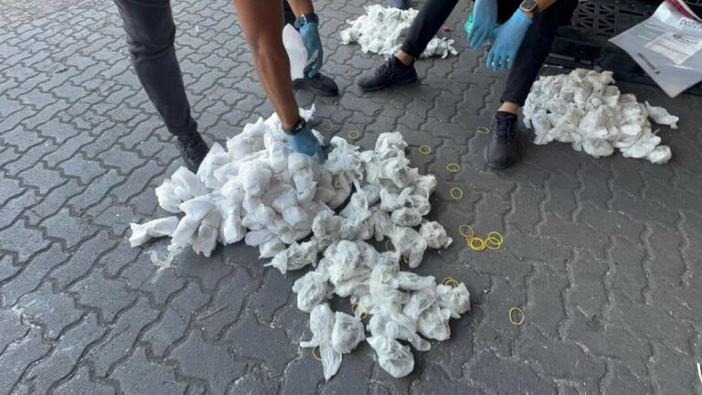 DNCD incauta más de 700 guantes quirúrgicos con marihuana ocultos en pañales
