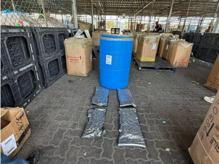 DNCD ocupa 46 paquetes de marihuana en operativos de interdicción en Puerto Haina