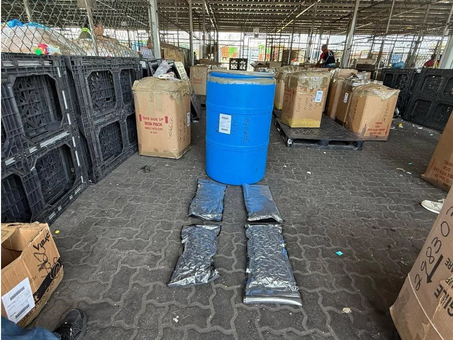 DNCD ocupa 46 paquetes de marihuana en operativos de interdicción en Puerto Haina