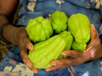 El consumo per cápita de tayota es uno de los que más ha crecido